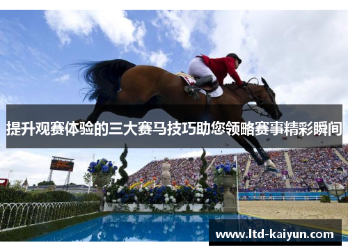 提升观赛体验的三大赛马技巧助您领略赛事精彩瞬间